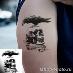 Фото рисунка тату череп 24.11.2018 №172 - photo tattoo skull - tattoo-photo.ru