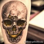 Фото рисунка тату череп 24.11.2018 №225 - photo tattoo skull - tattoo-photo.ru