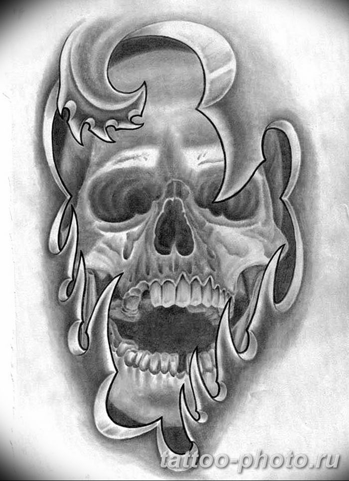 Skin skull