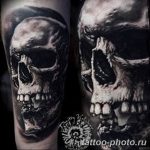 Фото рисунка тату череп 24.11.2018 №476 - photo tattoo skull - tattoo-photo.ru