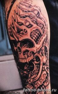 Фото рисунка тату череп 24.11.2018 №557 - photo tattoo skull - tattoo-photo.ru