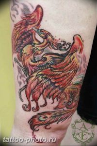 фото идеи тату феникс 18.12.2018 №032 - photo ideas tattoo phoenix - tattoo-photo.ru