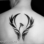 фото идеи тату феникс 18.12.2018 №033 - photo ideas tattoo phoenix - tattoo-photo.ru