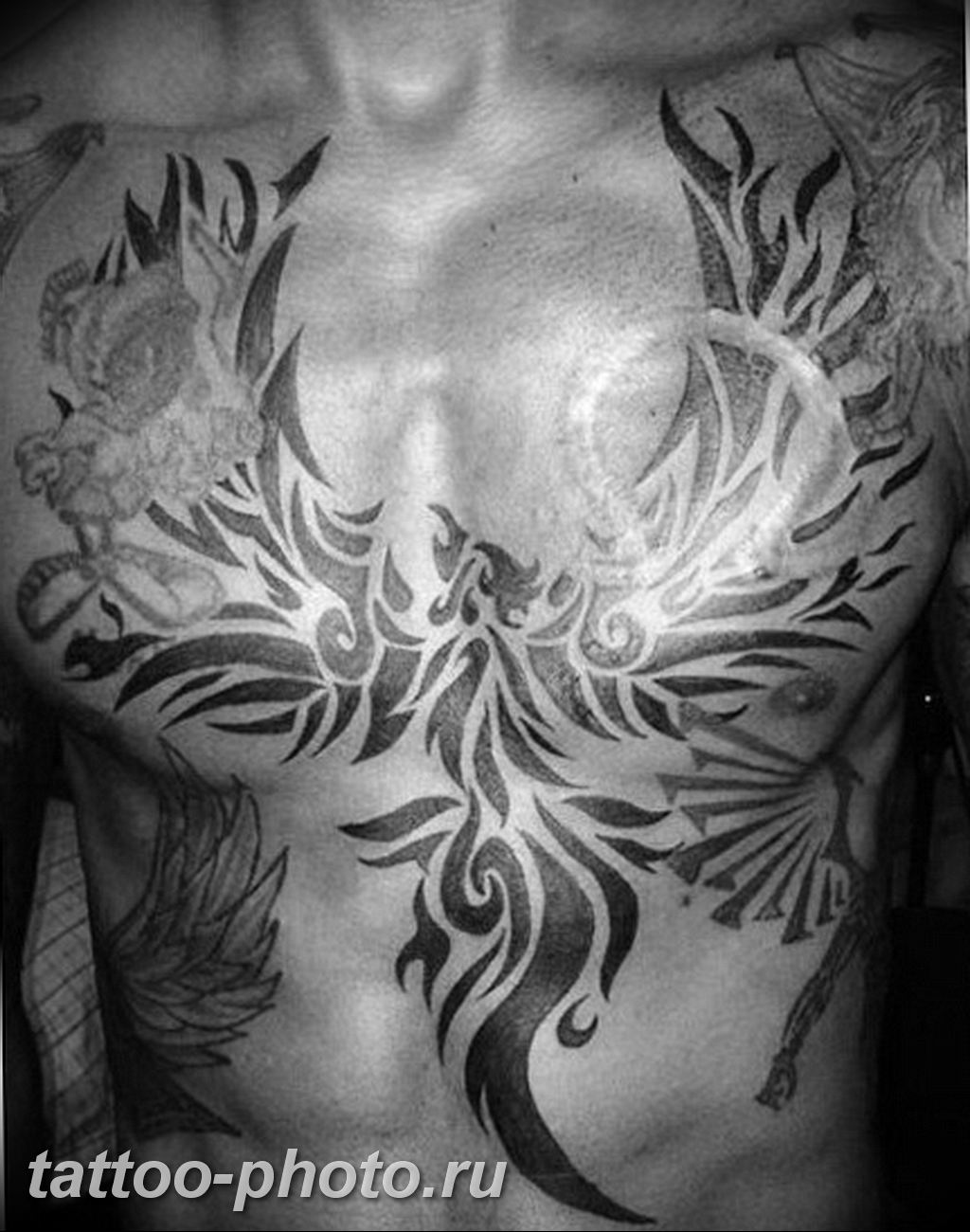 Phoenix chest tattoos for guys