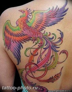 фото идеи тату феникс 18.12.2018 №099 - photo ideas tattoo phoenix - tattoo-photo.ru