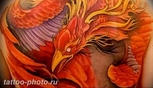 фото идеи тату феникс 18.12.2018 №100 - photo ideas tattoo phoenix - tattoo-photo.ru