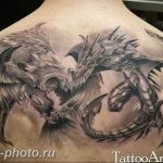 фото идеи тату феникс 18.12.2018 №123 - photo ideas tattoo phoenix - tattoo-photo.ru
