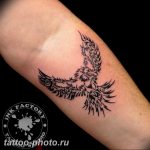 фото идеи тату феникс 18.12.2018 №128 - photo ideas tattoo phoenix - tattoo-photo.ru