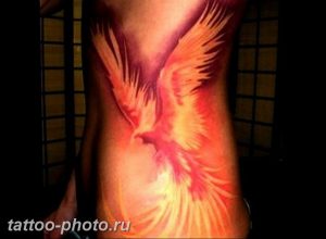 фото идеи тату феникс 18.12.2018 №133 - photo ideas tattoo phoenix - tattoo-photo.ru