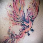 фото идеи тату феникс 18.12.2018 №190 - photo ideas tattoo phoenix - tattoo-photo.ru