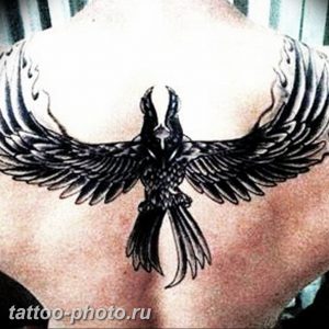 фото идеи тату феникс 18.12.2018 №239 - photo ideas tattoo phoenix - tattoo-photo.ru