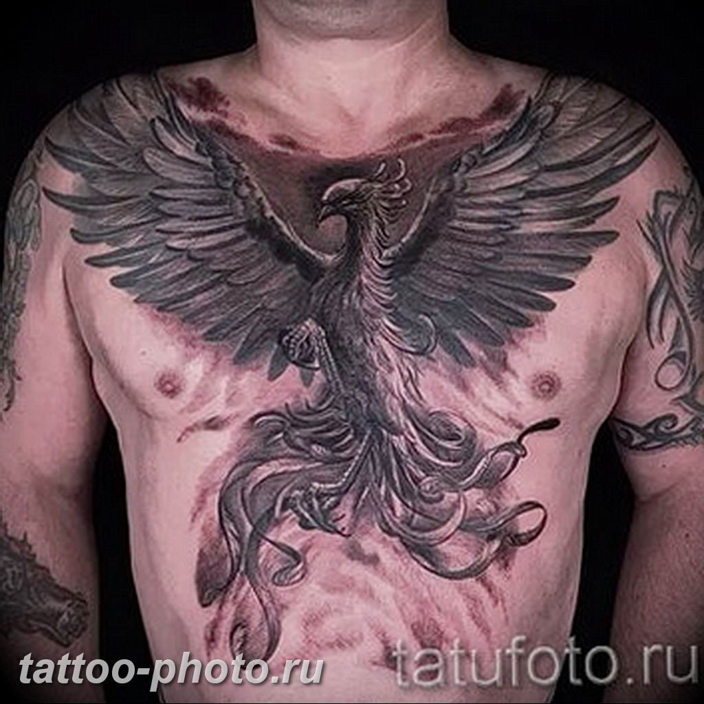 Phoenix chest tattoos for guys