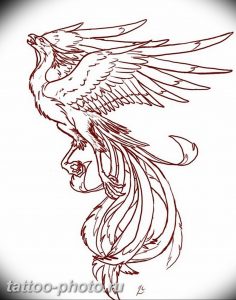 фото идеи тату феникс 18.12.2018 №291 - photo ideas tattoo phoenix - tattoo-photo.ru