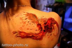 фото идеи тату феникс 18.12.2018 №348 - photo ideas tattoo phoenix - tattoo-photo.ru