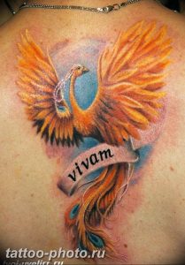 фото идеи тату феникс 18.12.2018 №387 - photo ideas tattoo phoenix - tattoo-photo.ru