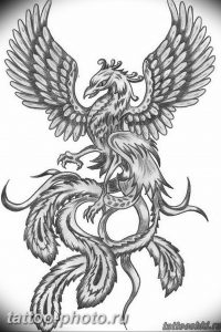 фото идеи тату феникс 18.12.2018 №412 - photo ideas tattoo phoenix - tattoo-photo.ru