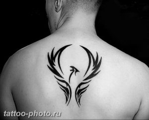 фото идеи тату феникс 18.12.2018 №475 - photo ideas tattoo phoenix - tattoo-photo.ru