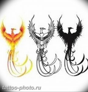 фото идеи тату феникс 18.12.2018 №515 - photo ideas tattoo phoenix - tattoo-photo.ru