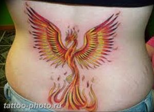 фото идеи тату феникс 18.12.2018 №537 - photo ideas tattoo phoenix - tattoo-photo.ru