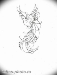фото идеи тату феникс 18.12.2018 №542 - photo ideas tattoo phoenix - tattoo-photo.ru