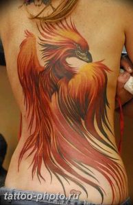 фото идеи тату феникс 18.12.2018 №562 - photo ideas tattoo phoenix - tattoo-photo.ru