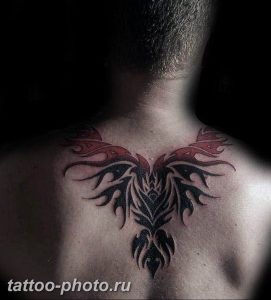 фото идеи тату феникс 18.12.2018 №582 - photo ideas tattoo phoenix - tattoo-photo.ru