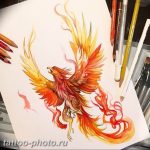 фото идеи тату феникс 18.12.2018 №606 - photo ideas tattoo phoenix - tattoo-photo.ru