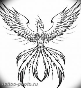 фото идеи тату феникс 18.12.2018 №663 - photo ideas tattoo phoenix - tattoo-photo.ru