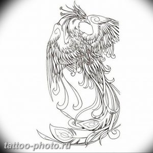 фото идеи тату феникс 18.12.2018 №664 - photo ideas tattoo phoenix - tattoo-photo.ru