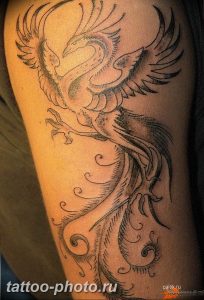фото идеи тату феникс 18.12.2018 №763 - photo ideas tattoo phoenix - tattoo-photo.ru