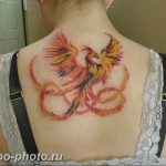 фото идеи тату феникс 18.12.2018 №773 - photo ideas tattoo phoenix - tattoo-photo.ru