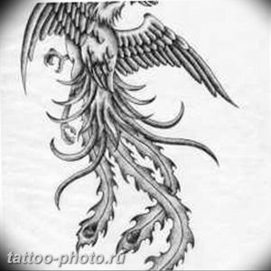 фото идеи тату феникс 18.12.2018 №828 - photo ideas tattoo phoenix - tattoo-photo.ru