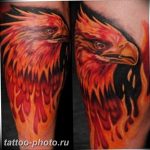 фото идеи тату феникс 18.12.2018 №838 - photo ideas tattoo phoenix - tattoo-photo.ru