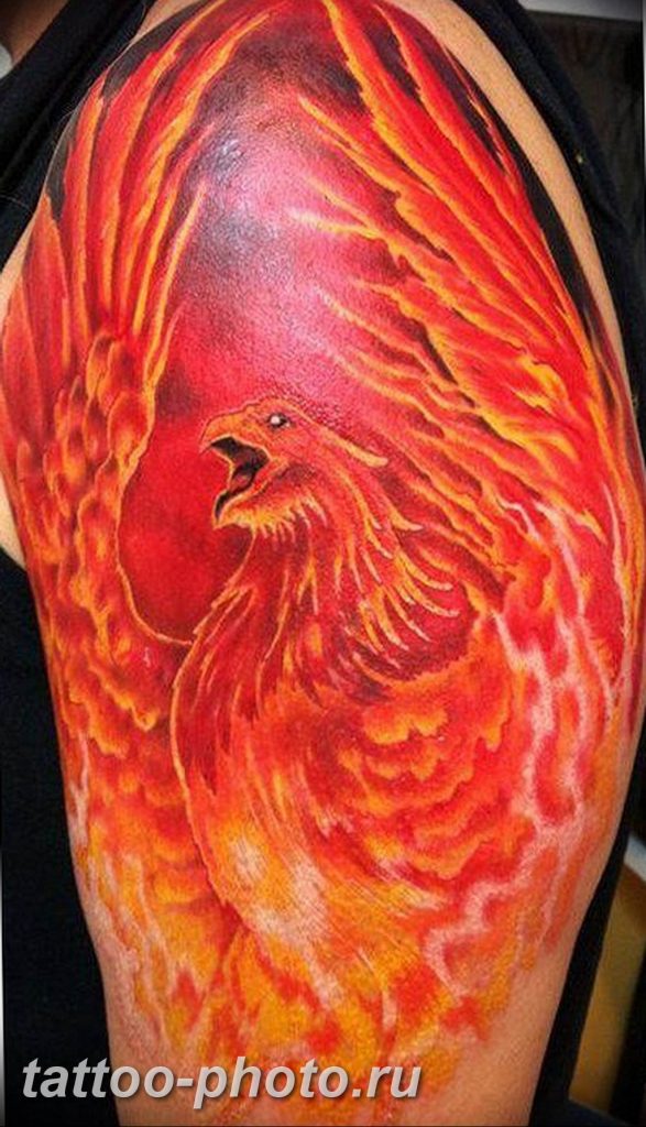 фото идеи тату феникс 18.12.2018 №839 - photo ideas tattoo phoenix - tattoo-photo.ru