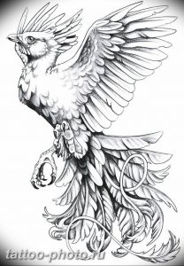 фото идеи тату феникс 18.12.2018 №849 - photo ideas tattoo phoenix - tattoo-photo.ru