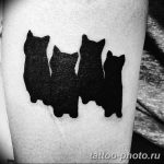 фото рисунка тату черная кошка 13.11.2018 №018 - black cat tattoo picture - tattoo-photo.ru