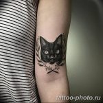 фото рисунка тату черная кошка 13.11.2018 №024 - black cat tattoo picture - tattoo-photo.ru