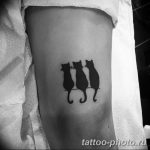 фото рисунка тату черная кошка 13.11.2018 №028 - black cat tattoo picture - tattoo-photo.ru