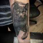 что значит тату черная кошка. Смотреть фото что значит тату черная кошка. Смотреть картинку что значит тату черная кошка. Картинка про что значит тату черная кошка. Фото что значит тату черная кошка