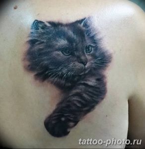 фото рисунка тату черная кошка 13.11.2018 №043 - black cat tattoo picture - tattoo-photo.ru