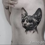 фото рисунка тату черная кошка 13.11.2018 №076 - black cat tattoo picture - tattoo-photo.ru