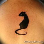 фото рисунка тату черная кошка 13.11.2018 №100 - black cat tattoo picture - tattoo-photo.ru