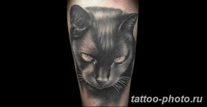 фото рисунка тату черная кошка 13.11.2018 №115 - black cat tattoo picture - tattoo-photo.ru