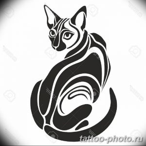 фото рисунка тату черная кошка 13.11.2018 №145 - black cat tattoo picture - tattoo-photo.ru