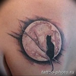 фото рисунка тату черная кошка 13.11.2018 №174 - black cat tattoo picture - tattoo-photo.ru