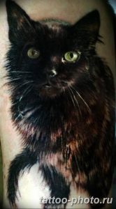 фото рисунка тату черная кошка 13.11.2018 №191 - black cat tattoo picture - tattoo-photo.ru