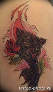 фото рисунка тату черная кошка 13.11.2018 №204 - black cat tattoo picture - tattoo-photo.ru