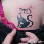 фото рисунка тату черная кошка 13.11.2018 №206 - black cat tattoo picture - tattoo-photo.ru