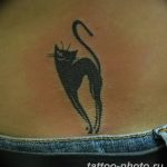фото рисунка тату черная кошка 13.11.2018 №228 - black cat tattoo picture - tattoo-photo.ru