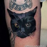 что значит тату черная кошка. Смотреть фото что значит тату черная кошка. Смотреть картинку что значит тату черная кошка. Картинка про что значит тату черная кошка. Фото что значит тату черная кошка
